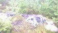 /album/kuvagalleria/tupla-vasat-jpg/